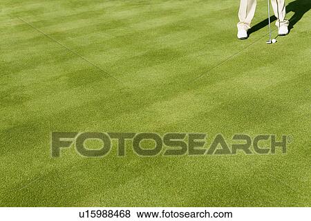 Golfer putting on putting green (low section) View Large Photo Image Stock Photo - Golfer putting on putting green (low section). Fotosearch