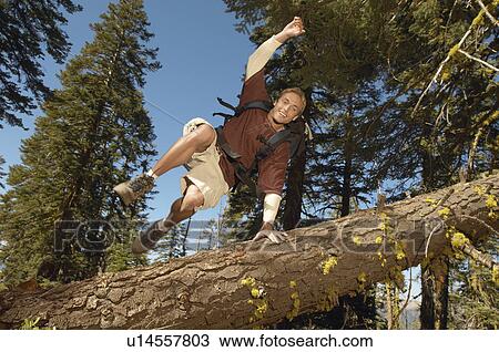 Stock Image - Hiker jumping fallen tree in forest. Fotosearch