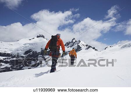 Stock Photo - Hikers joined by safety line in snowy mountains back view. Fotosearch