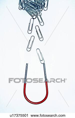 Horseshoe magnet attracting paperclips in studio View Large Photo Image Stock Image - Horseshoe magnet attracting paperclips in studio. Fotosearch