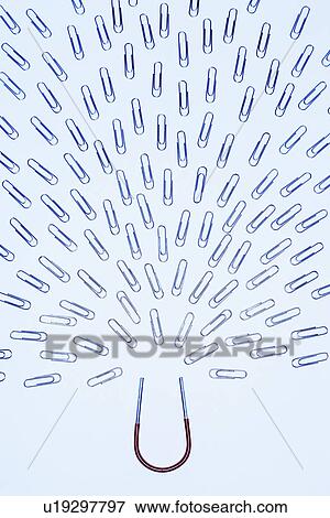 Horseshoe magnet attracting pattern of paperclips in studio View Large Photo Image Stock Photo - Horseshoe magnet attracting pattern of paperclips in studio. Fotosearch