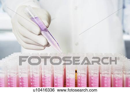 Stock Photograph - Lab worker adding violet liquid to test tubes. Fotosearch