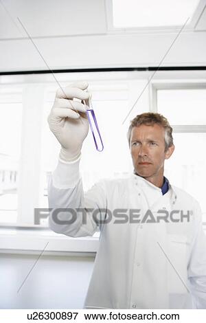 Male lab worker holding petri dish to the light View Large Photo Image Stock Photo - Male lab worker holding petri dish to the light. Fotosearch