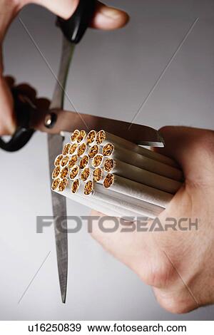 Man cutting bundle of cigarettes in half close up of hand View Large Photo Image Stock Photo - Man cutting bundle of cigarettes in half close up of hand. Fotosearch