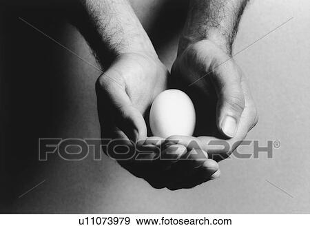 Stock Photo - Man holding egg in cupped hands (b&w) (close-up). Fotosearch