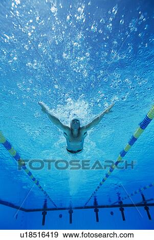Man Swimming in Pool View Large Photo Image Stock Photo - Man Swimming in Pool. Fotosearch