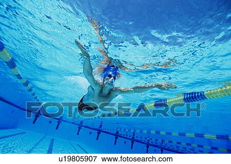 Man Swimming in Pool View Large Photo Image Stock Photo - Man Swimming in Pool. Fotosearch