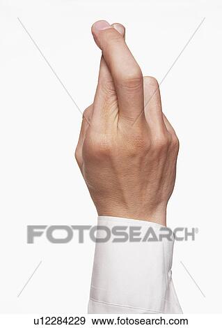 Man with fingers crossed close-up on hand View Large Photo Image Stock Photo - Man with fingers crossed close-up on hand. Fotosearch