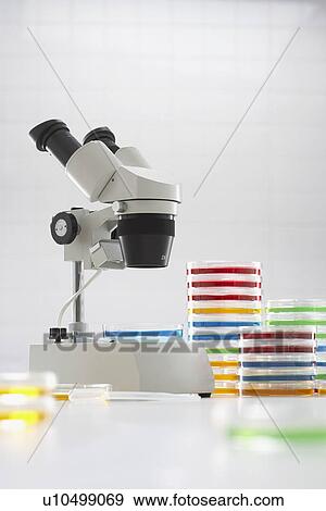 Microscope beside chemical samples View Large Photo Image Stock Photo - Microscope beside chemical samples. Fotosearch
