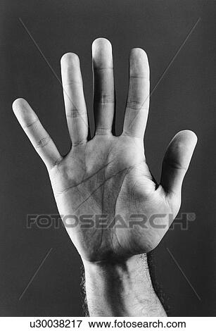 Stock Photo - Palm of hand (b&w) (close-up). Fotosearch