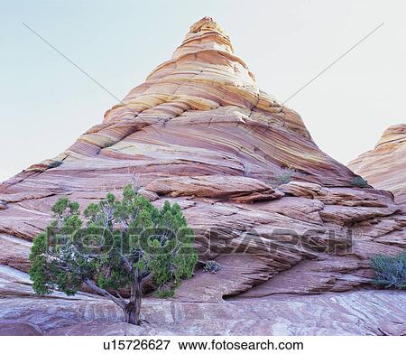 Stock Photo - Pine tree growing beneath rock peak. Fotosearch