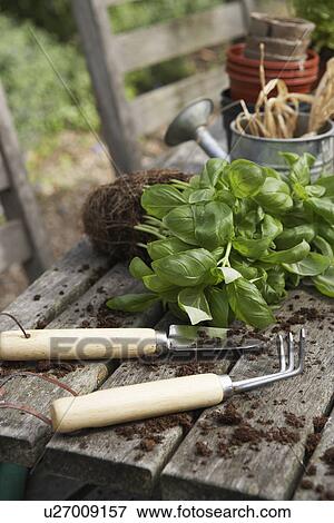 Stock Photo - Plant Gardening Tools and Potting Soil. Fotosearch