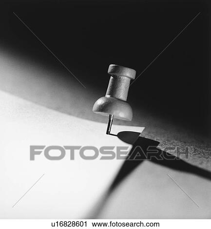 Push pin holding down paper (b&w) (close-up) View Large Photo Image Stock Image - Push pin holding down paper (b&w) (close-up). Fotosearch