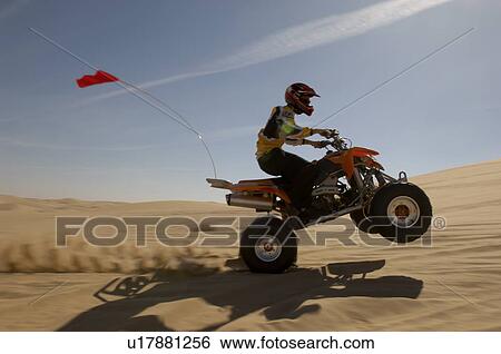 Quad bike rider doing wheelie in desert side view View Large Photo Image Stock Photograph - Quad bike rider doing wheelie in desert side view. Fotosearch