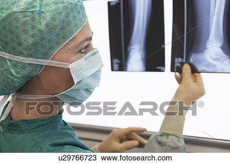 Radiologist Examining X-Ray of leg close up View Large Photo Image Stock Image - Radiologist Examining X-Ray of leg close up. Fotosearch