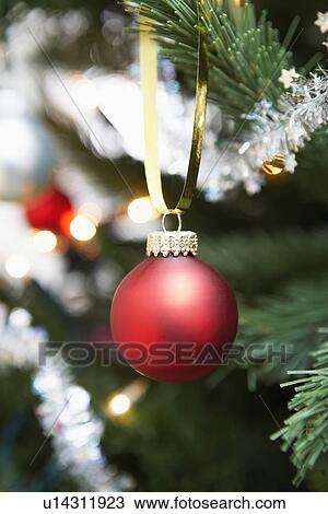 Red bauble hanging from christmas tree close up View Large Photo Image Stock Image - Red bauble hanging from christmas tree close up. Fotosearch