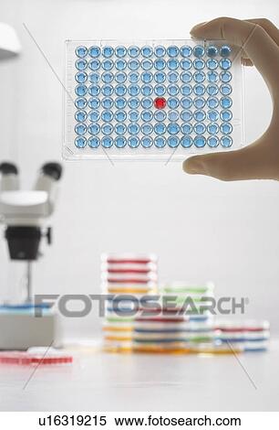Scientists hand holding chemical samples View Large Photo Image Stock Photography - Scientists hand holding chemical samples. Fotosearch