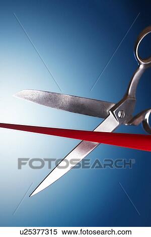 Scissors cutting red ribbon in studio View Large Photo Image Stock Photography - Scissors cutting red ribbon in studio. Fotosearch
