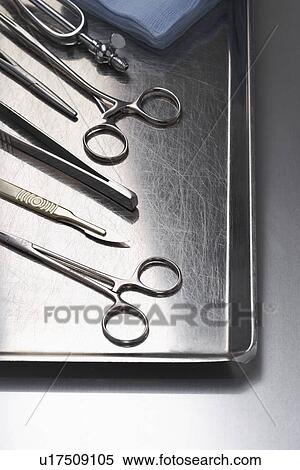 Set of scissors and teasers on tray View Large Photo Image Stock Photography - Set of scissors and teasers on tray. Fotosearch