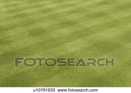 Stock Image - Soccer Field. Fotosearch