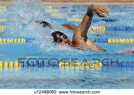 Stock Image - Swimmers Racing. Fotosearch