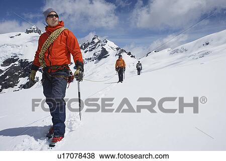 Stock Photo - Three hikers joined by safety line in snowy mountains. Fotosearch