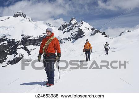 Three hikers joined by safety line in snowy mountains View Large Photo Image Stock Photo - Three hikers joined by safety line in snowy mountains. Fotosearch