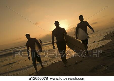 Three surfers carrying surfboards out of surf at sunset View Large Photo Image Stock Photo - Three surfers carrying surfboards out of surf at sunset. Fotosearch