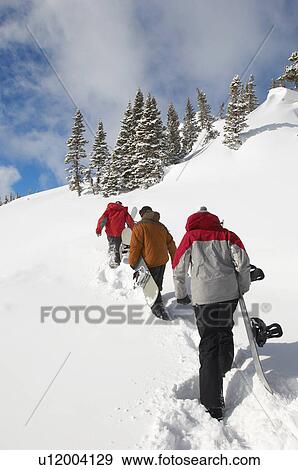 Three teenagers (16-17) holding snowboards hiking through snow rear view. View Large Photo Image Stock Photo - Three teenagers (16-17) holding snowboards hiking through snow rear view.. Fotosearch