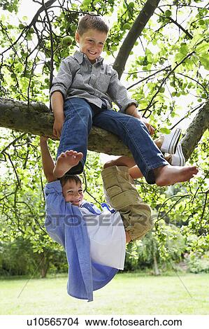 Two boys (7-9) playing on tree branch View Large Photo Image Picture - Two boys (7-9) playing on tree branch. Fotosearch