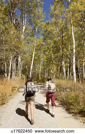Stock Image - Two hikers on path through woodland. Fotosearch