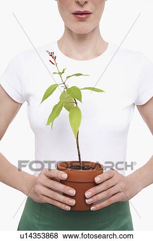 Stock Photo - Woman Holding Potted Plant half length cropped. Fotosearch