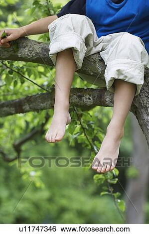 Young boy sitting on tree branch low section close up of feet View Large Photo Image Stock Photograph - Young boy sitting on tree branch low section close up of feet. Fotosearch