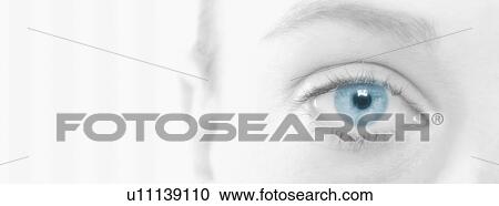 Young Woman's Eye View Large Photo Image Stock Image - Young Woman's Eye. Fotosearch