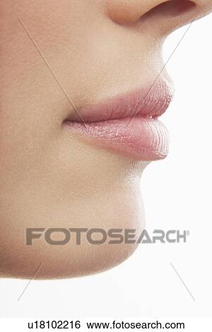 Young Woman's mouth cropped in profile View Large Photo Image Stock Photograph - Young Woman's mouth cropped in profile. Fotosearch
