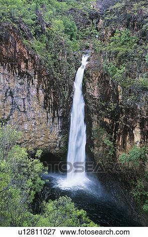 Stock Photo - Australia Queensland Waterfall in rainforest. Fotosearch