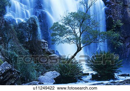 Australia waterfall in forest View Large Photo Image Stock Image - Australia waterfall in forest. Fotosearch