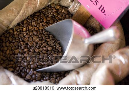 Bag of coffee beans with metal scoop View Large Photo Image Stock Photograph - Bag of coffee beans with metal scoop. Fotosearch