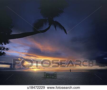 Stock Photo - Beach at Sunset. Fotosearch