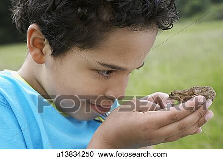 Boy (7-9) holding Toad close-up View Large Photo Image Stock Image - Boy (7-9) holding Toad close-up. Fotosearch