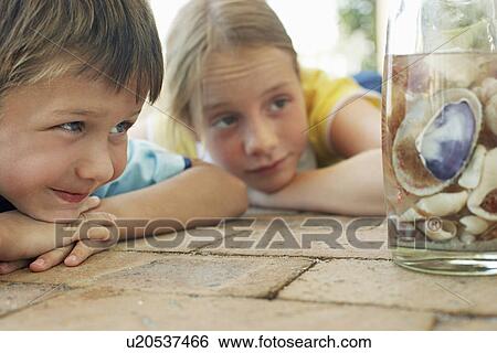 Boy and girl (7-9) looking at shells in jar close-up View Large Photo Image Stock Photograph - Boy and girl (7-9) looking at shells in jar close-up. Fotosearch