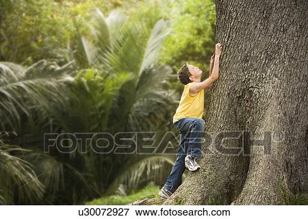 Stock Photo - Boy Climbing Large Tree. Fotosearch