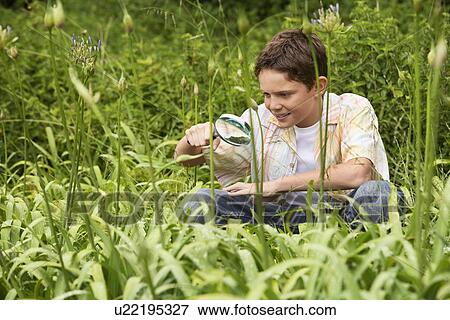 Stock Photo - Boy Looking at Insects with Magnifying Glass. Fotosearch