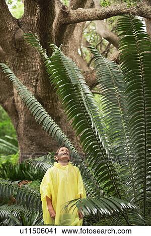 Boy Standing by Large Fern View Large Photo Image Stock Image - Boy Standing by Large Fern. Fotosearch