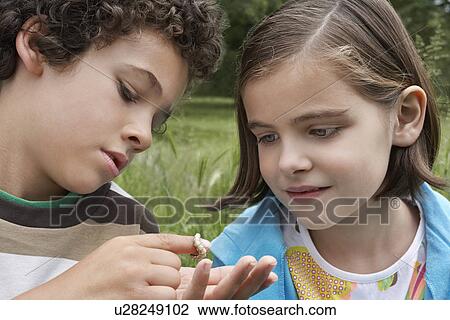 Stock Image - Brother and sister (7-9) examining caterpillar outdoors. Fotosearch