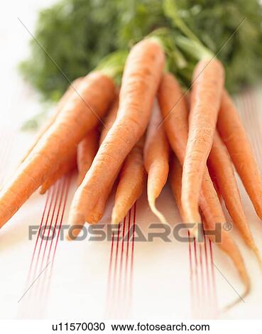 Stock Image - Bunch of Carrots. Fotosearch