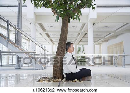 Stock Image - Businessman resting under tree outside office. Fotosearch