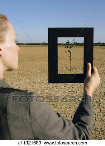 Businesswoman framing tree in desert back view View Large Photo Image Stock Photo - Businesswoman framing tree in desert back view. Fotosearch