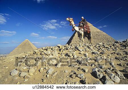 Stock Image - Camel Rider by Pyramids of Giza. Fotosearch