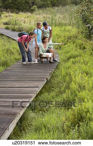 Children on Nature Field Trip View Large Photo Image Stock Image - Children on Nature Field Trip. Fotosearch
